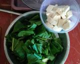 Foto langkah ke 1 dari resep Tumis Sawi Hijau tahu putih.