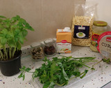 Foto del paso 10 de la receta: Pasta trofi con crema de finas hierbas y bambú con pimientos fritos
