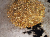 Zeera fry bhindi
