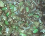 Foto del paso 1 de la receta: Entomatado de res