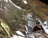Foto del paso 7 de la receta: Pavita navideña