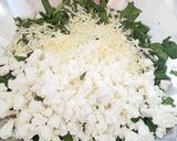 A picture of step 3 of Borek.