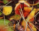 A picture of step 3 of Tropical zobo II 🌴.