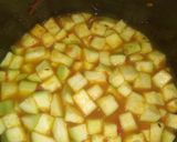 A picture of step 4 of Ghiya/ Dudhi sabji.