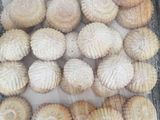 معمول العيد