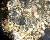 A picture of step 3 of Vegetable szechuan spaghetti.