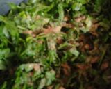कुरकुरे पालक पकौडे (kurkure palak pakode recipe in Hindi) रेसिपी चरण 1 फोटो