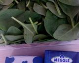 Spenótos tagliatelle recept fázis 1 fotója