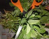 A picture of step 1 of Fenugreek paratha.