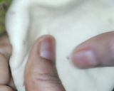 A picture of step 4 of Sattu Paratha.