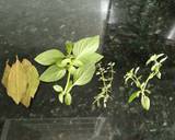 Foto do passo 4 da receita de Molho de tomate pra pizza