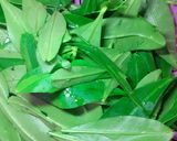 Foto langkah ke 1 dari resep Tumis Daun Gingseng.