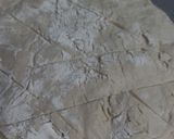 A picture of step 4 of Lazyman's Sourdough Bread.