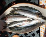 Foto del paso 1 de la receta Sardinas de Huelva asadas con laurel 🌿🐟🍃