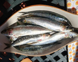 Foto del paso 1 de la receta: Sardinas de Huelva asadas con laurel 🌿🐟🍃