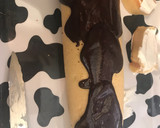 Foto del paso 8 de la receta: Brazo de gitano de nata con ganache de chocolate
