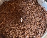 Foto del paso 2 de la receta: Café chai