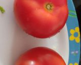 Foto del paso 1 de la receta: Tomates rellenos con atún