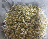 A picture of step 2 of Moong sprout dosa.