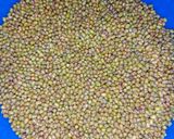 A picture of step 1 of Sabut Moong daal.