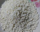 সাবুদানার পায়েস(sabudanar payesh recipe in Bengali) রেসিপি ধাপ - 2 ছবি
