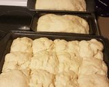 A picture of step 10 of 2hr bread.