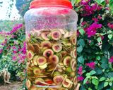 Hình bước làm 6 của món Muối sung