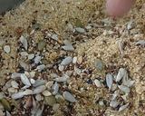 A picture of step 6 of Jaggery laddo.