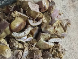 Nasi goreng Hati Ampela