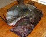 Foto del passaggio 1 della ricetta Pesce San Pietro al Vapore alla Mediterranea