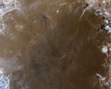 A picture of step 12 of Gingerbread Biscuits.