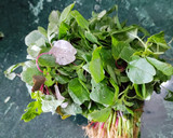 A picture of step 2 of Green Amaranthus Dalma.