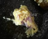 Foto langkah ke 2 dari resep Sop Manten Khas Solo ala Violet Azalea.