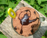 Foto langkah ke 5 dari resep MiLo Dinosaur.