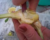 A picture of step 6 of How to clean artichokes.