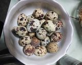 Foto langkah ke 1 dari resep Semur Puyuh BAKETA (Bakso Kentang Tahu) HOT.