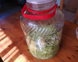 Foto del paso 7 de la receta: Col rizada fermentada con jengibre y anís