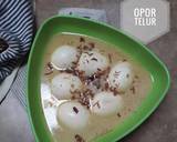 Cara Membuat Opor telur 4