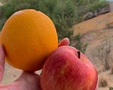 Foto del paso 1 de la receta: Licuado de naranja y manzana 🍏 🍊