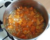 A picture of step 4 of Vickys Chilli & Butternut Squash Soup, GF DF EF SF NF.