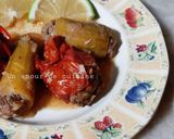 Une image de l'étape 7 de Dolma 🍋.