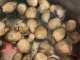 Cháo cá lóc mix đậu lăng xanh đỏ 😅