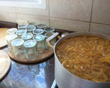 Foto del paso 9 de la receta: Mermelada de naranjas amargas (o de Sevilla)