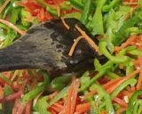 A picture of step 10 of Vegetables Fried Rice.