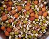 કઠોળ ભેળ (Kathol Bhel Recipe In Gujarati) રેસીપી સ્ટેપ1ફોટો