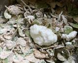 Jowar-Methi Muthiya recipe step 1 photo