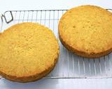 Vickys Crowd-Pleaser Carrot Cake, GF DF EF SF NF recipe step 6 photo