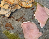 Foto del paso 8 de la receta: Lomo con salsa de zanahoria