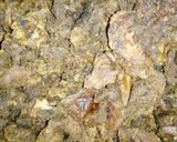 Nama mai yaji(pepper meat)matakin girki1 hoto