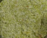 દૂધી નો હલવો (Dudhi Halwa Recipe In Gujarati) રેસીપી સ્ટેપ7ફોટો